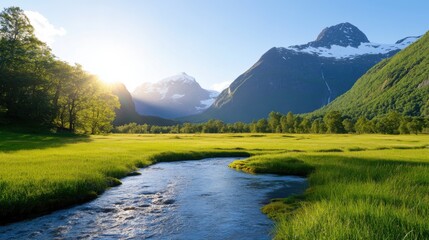 Fototapeta premium Serene mountain valley landscape with a flowing stream, lush green meadows, and snow-capped peaks under a bright sun.