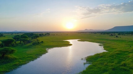 Fototapeta premium Serene sunset over African savanna, reflecting on calm river winding through lush green grasslands and acacia trees under a clear sky.