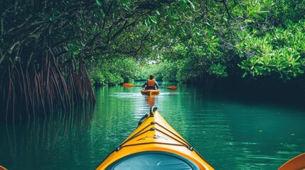 Fototapeta premium Serene Kayaking Adventure Through Lush Mangrove Forest on Calm Waterway
