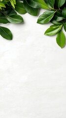 Vibrant green leaves arranged on a light gray textured background, creating a natural and refreshing frame. The image is ideal for various design projects, offering a clean and organic aesthetic.