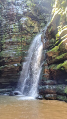 Obraz premium waterfall in the forest