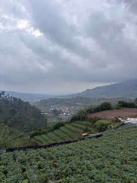 mountain scenery shrouded in mist