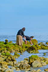 A man and a woman explore moss-covered coral rocks extending into the sea, bending over to search...