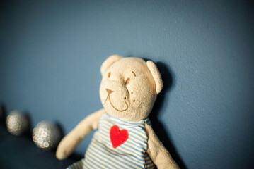 teddy