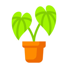 Flat Alocasia Icon