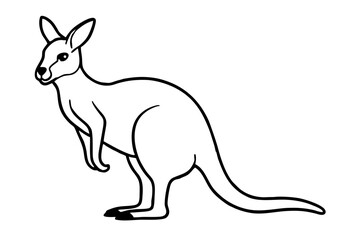 Elegant Kangaroo Outline