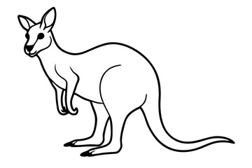 Elegant Kangaroo Outline