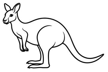Elegant Kangaroo Outline