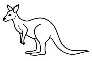 Elegant Kangaroo Outline