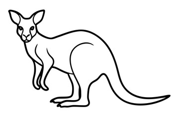 Elegant Kangaroo Outline