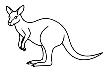 Elegant Kangaroo Outline