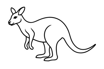 Elegant Kangaroo Outline