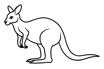 Elegant Kangaroo Outline