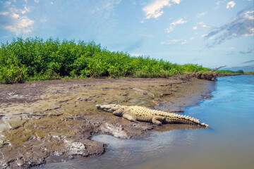 The crocodile-rich brakish waters of the Tárcoles river mouth, near Puntareneas, Costa Rica