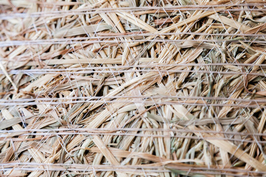 Close up of round hay bale animal feed