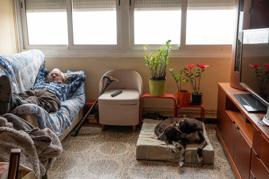 man in his eighties lying on sofa and dog lying on his bed sleeping in the dining room, both of them during the day resting at home, antique furniture environment, parents' home