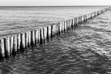 wooden piles at the baltic sea protects the sandy beach as wave breaker