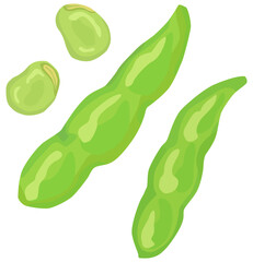 そら豆のイラスト ベクター素材