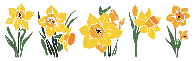 Set of yellow daffodil flowers. March birth month flowers. Colorful flat vector hand drawn illustrations isolated on transparent background