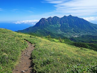 Mountain path, wildflowers, sunny vista