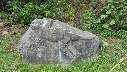 Monkey Petroglyph near Chachapoyas, Peru