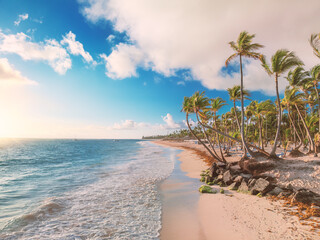 Tropical vacation summer beach shore with palm trees Dominican republic