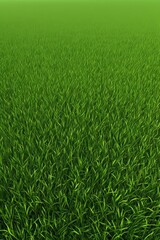 Fototapeta premium a close up of a field of grass with a sky background