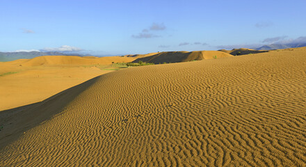 Elsen Tasarkhai, Rashaant, Bulgan Province - Elsen Tasarkhai sand dunes, also known as Bayan Gobi...