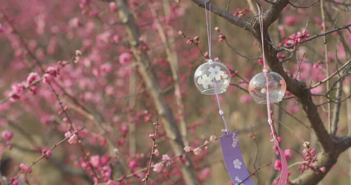 In the park, various flowers are in full bloom in the spring, and bees are flitting about.