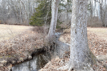 Winter creek