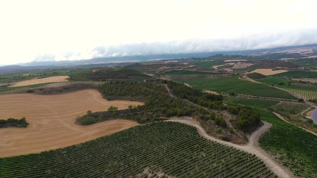 Countryside of Spain, Alava Province. Aerial drone view of agriculture fields. Fields cultivated with vines. Small countryside roads. Cloudy day. Drone going forward above the culture field.