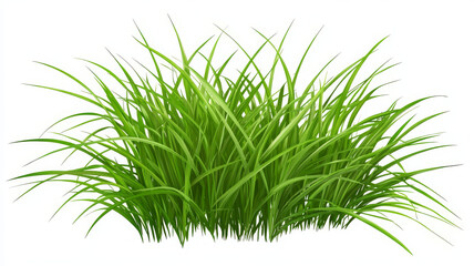 Lush green grass with vibrant blades, perfect for landscaping and nature scenes