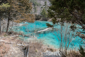 Sleeping Dragon Lake in Jiuzhaigou locate in Sichuan Province, China, is a UNESCO world natural and...