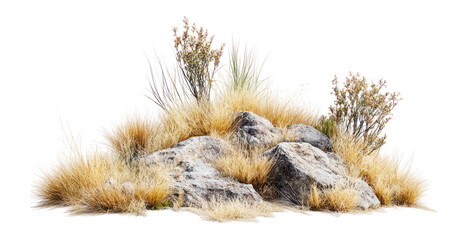 PNG Dry grass meadow rocks vegetation environment.