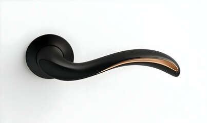 Obraz premium Elegant Black Door Handle with Stylish Gold Accent Design