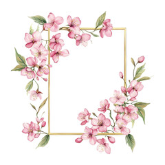 Fototapeta premium PNG Sakura flowers art illustration botanical.