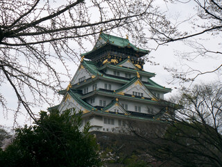 Fototapeta premium SAMSUNG CAMERA PICTURES