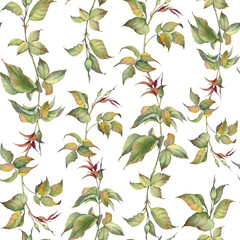 Seamless pattern with rose flower buds and green branches. Watercolor hand painted illustration.