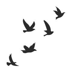 Flying Birds Silhouette