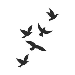 Flying Birds Silhouette