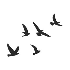 Flying Birds Silhouette