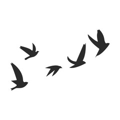 Flying Birds Silhouette