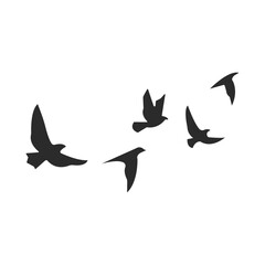 Flying Birds Silhouette