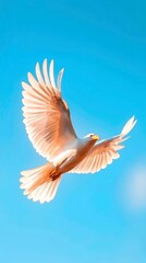 Fototapeta premium Eagle soaring high in clear blue sky wings spread in freedom and exploration avian nature art