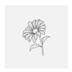 Black and white floral vector illustration. Minimal line art drawing for print, cover or wallpaper
