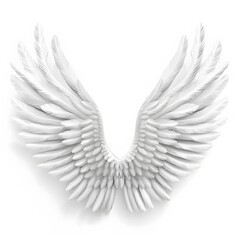 Obraz premium Elegant White Angel Wings Isolated on a Minimalist Background