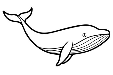 Elegant Whale Line Art