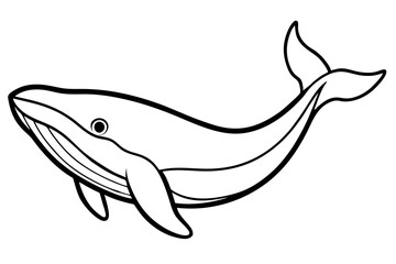 Elegant Whale Line Art