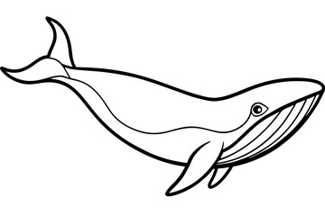 Elegant Whale Line Art