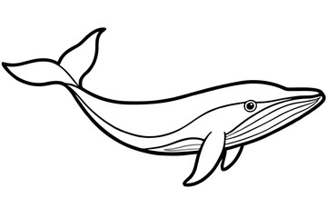 Elegant Whale Line Art